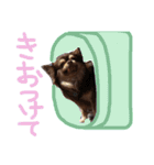 レック2（個別スタンプ：6）