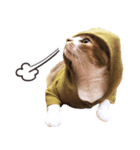 Assassin's cat Mila- funny expression（個別スタンプ：2）