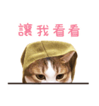 Assassin's cat Mila- funny expression（個別スタンプ：8）