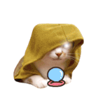 Assassin's cat Mila- funny expression（個別スタンプ：19）