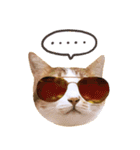 Assassin's cat Mila- funny expression（個別スタンプ：21）