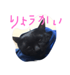 ぐりちゃんスタンプ（個別スタンプ：7）