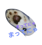 KonyankoLife（個別スタンプ：4）