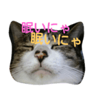 KonyankoLife（個別スタンプ：5）