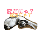 KonyankoLife（個別スタンプ：8）
