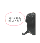 犬の顔−表情– JP（個別スタンプ：12）