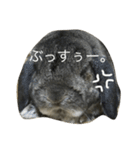 モッフモフうさぎ 1（個別スタンプ：2）