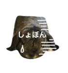 モッフモフうさぎ 1（個別スタンプ：13）