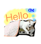 私の家族ちゃん（個別スタンプ：2）