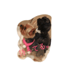 hannah and ran（個別スタンプ：1）