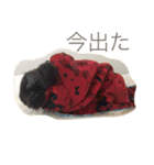 hannah and ran（個別スタンプ：7）