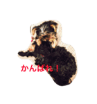 hannah and ran（個別スタンプ：9）