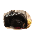 hannah and ran（個別スタンプ：15）