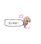 うにスタンプ②（個別スタンプ：2）