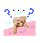 うにスタンプ②（個別スタンプ：8）