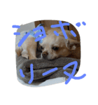ぽ⁉（個別スタンプ：3）
