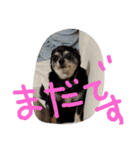 ぽ⁉（個別スタンプ：6）