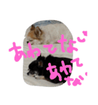 ぽ⁉（個別スタンプ：8）