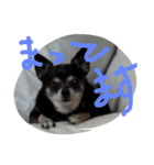 ぽ⁉（個別スタンプ：11）