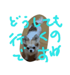 ぽ⁉（個別スタンプ：13）