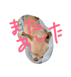 ぽ⁉（個別スタンプ：14）