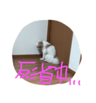 あかちゃんず（個別スタンプ：4）