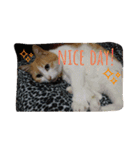たまこ＊ねこ.（個別スタンプ：5）