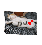 たまこ＊ねこ.（個別スタンプ：7）