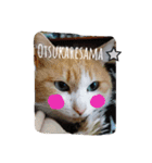 たまこ＊ねこ.（個別スタンプ：10）