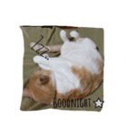 たまこ＊ねこ.（個別スタンプ：22）