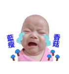 Qiao Yan expression map（個別スタンプ：12）