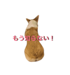 RITURITU（個別スタンプ：1）
