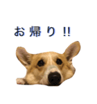 RITURITU（個別スタンプ：6）