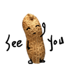 peanut peanut life1（個別スタンプ：3）