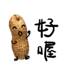peanut peanut life1（個別スタンプ：6）