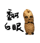 peanut peanut life1（個別スタンプ：13）