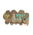 メロとアナンとお友達（個別スタンプ：4）