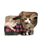 メロとアナンとお友達（個別スタンプ：5）