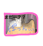メロとアナンとお友達（個別スタンプ：8）