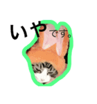メロとアナンとお友達（個別スタンプ：10）
