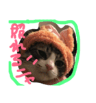 メロとアナンとお友達（個別スタンプ：11）
