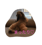 BIBIの一日（個別スタンプ：2）