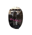 BIBIの一日（個別スタンプ：8）