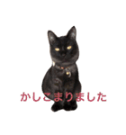 うちのいぬとねこ（個別スタンプ：24）