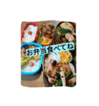 家族用家族専用。（個別スタンプ：5）