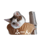 オペラとモカ（個別スタンプ：4）