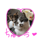 かぞく。（個別スタンプ：1）