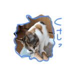かぞく。（個別スタンプ：2）
