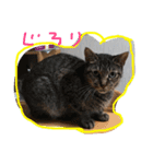 かぞく。（個別スタンプ：3）