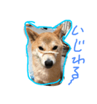 かぞく。（個別スタンプ：4）